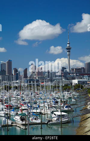 Westhaven Marina und Sky Tower, Auckland, Nordinsel, Neuseeland Stockfoto