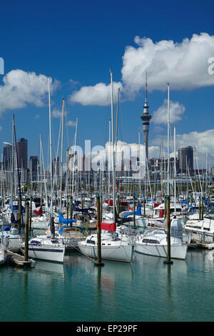 Westhaven Marina und Sky Tower, Auckland, Nordinsel, Neuseeland Stockfoto