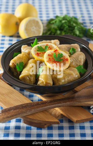 Sarma. Gefüllte Kohlblätter. Türkische Balkan Küche Stockfoto