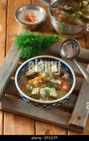 Schtschi. Russische Kohlsuppe Stockfoto