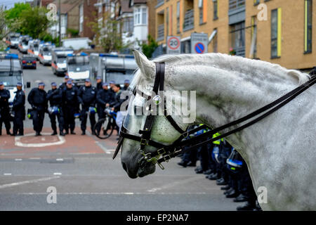 Steinschloss, ein Pferd aus der Mounted Police ist Teil des einen Kordon als Antifaschisten versammeln, um gegen einen Marsch von th statt protestieren Stockfoto