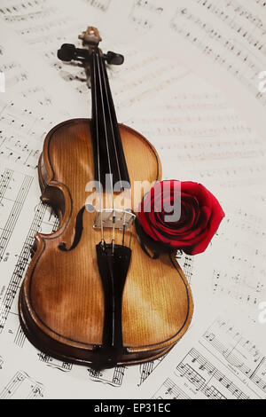 Alte Geige mit Musiknoten und rose Nahaufnahme Stockfoto