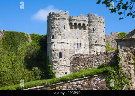 Carisbrooke Castle, Carisbrooke, Newport, Isle of Wight, Hampshire Großbritannien im Mai Stockfoto