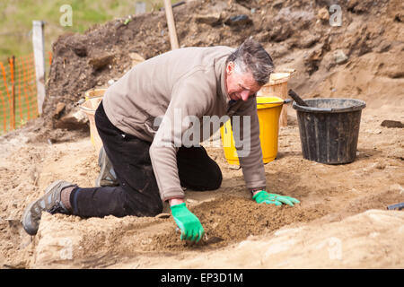 Aushubarbeiten in Whitesands Bay, Pembrokeshire Coast National Park, Wales UK im Mai - Mann mit Kelle Aushub Stockfoto