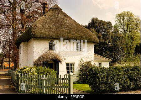Die Lodge strohgedeckten Hütte in Tilshead Dorf Wiltshire UK Stockfoto