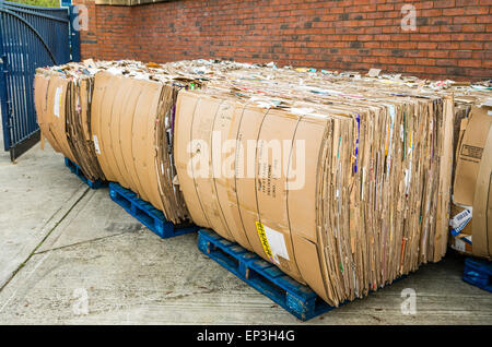 Stapel von gebrauchten Karton Kartons auf Paletten bereit zum recycling in UK Stockfoto