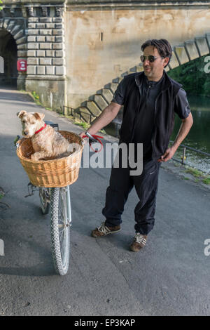 Mann schob Fahrrad mit kleiner Hund im Korb vorn Stockfoto