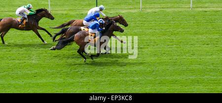 York UK 13. Mai 2015 Mabsoob (Nr. 4), geritten von Paul Hanagan, zwingt seinen Weg gewinnt das erste Rennen des Tages das Dante-Festival in York. Pferderennen in York UK Credit: John Fryer/Alamy Live-Nachrichten Stockfoto