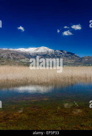 Stymfalia See im Corinthia Präfektur, Griechenland mit den schneebedeckten Bergen als Hintergrund reflektiert in den Gewässern des Sees Stockfoto