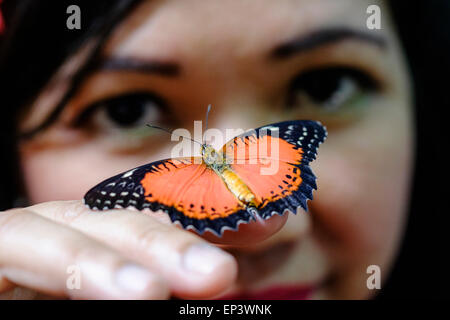 Schmetterling auf der Hand des Besuchers im Dubai Butterfly Garden in Vereinigte Arabische Emirate Stockfoto