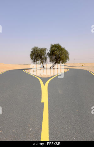 Neue Wüste Radweg am Al Qudra in Dubai Vereinigte Arabische Emirate Stockfoto