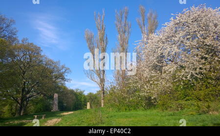 Pole-Hügel im Epping Forest, berühmt für t.e. Lawrence und Triangulation Säulen Stockfoto