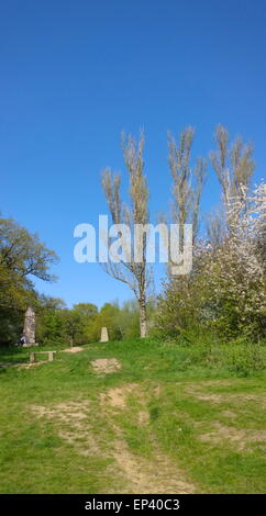 Pole-Hügel im Epping Forest, berühmt für t.e. Lawrence und Triangulation Säulen Stockfoto