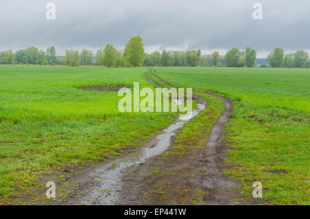 Landschaft mit Äckern und Landstraße in der Zentralukraine am regnerischen Frühlingstag Stockfoto