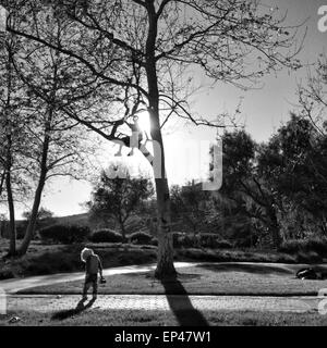 Junge sitzt in einem Baum blickte auf seinen Freund Stockfoto