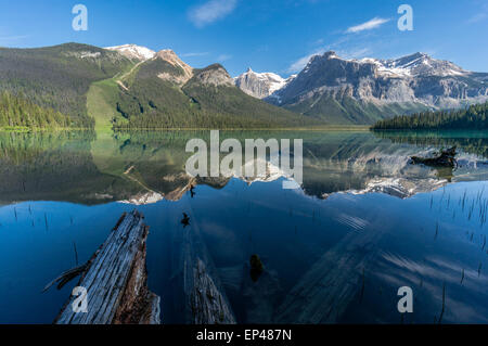 Emerald Lake Reflexionen, Yoho-Nationalpark, Kanadische Rocky Mountains, Kanada Stockfoto