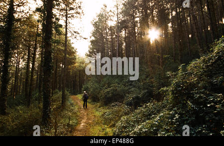 Senior woman, Wandern im Wald, Spanien Stockfoto