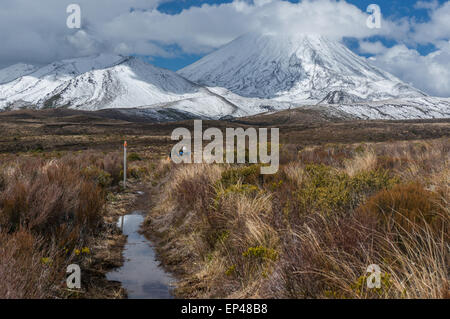 Mann-Wanderweg in Richtung Mount Ngauruhoe, Tongariro National Park, Neuseeland Stockfoto