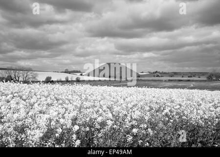 Schwarzweißbild von Silbury Hill in der Nähe von Avebury, Wiltshire, England, Großbritannien Stockfoto