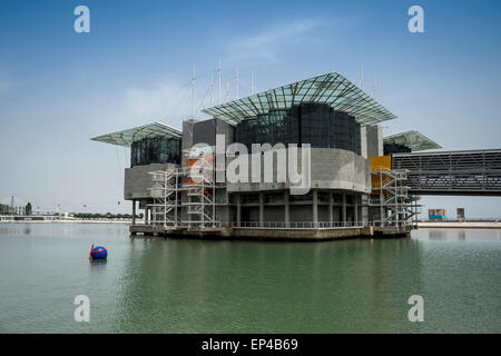 Oceanario Aquarium im Parque Dos Nacoes Bezirk von Lissabon Portugal Stockfoto