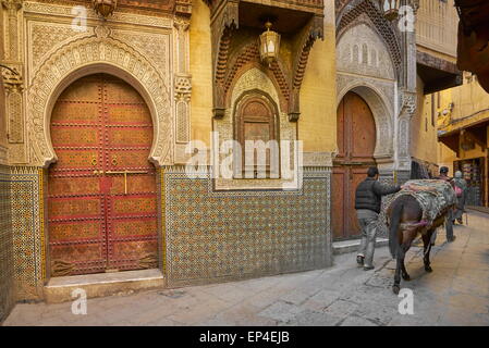 Medina von Fes, 18. Jahrhundert Moschee und Mausoleum von Sidi Ahmed Tijani, Marokko, Afrika Stockfoto