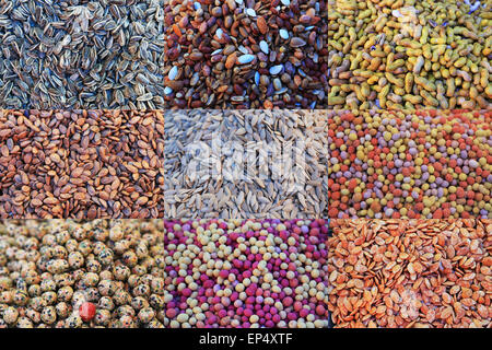 Collage von Gewürzen in einem Markt im Nahen Osten Stockfoto