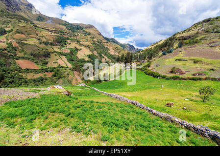 Hügelige Landschaft auf der Santa Cruz Trek in der Nähe von Huaraz, Peru Stockfoto