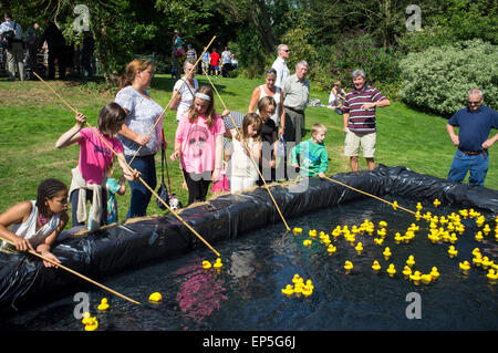 Spielende Kinder Haken eine Ente auf einem traditionellen englischen Sommer fair. Stockfoto