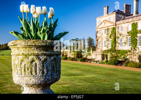 Bowood House in Wiltshire im Frühjahr. Stockfoto