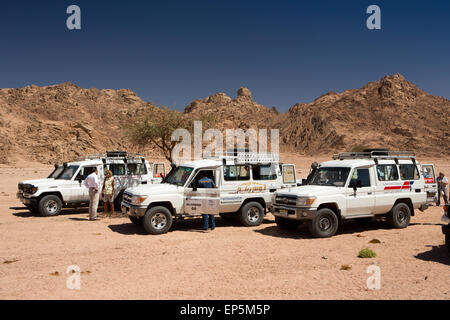 Ägypten, Sinai, Sharm el Sheikh, Nabq Nationalpark, Desert Tour vier Allradfahrzeuge Stockfoto