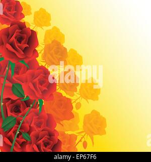 Rote Rosen isoliert auf Hintergründe. Vektor-illustration Stock Vektor