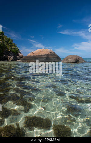 Indischer Ozean, Seychellen, Mahe, St. Anne Marine National Park, Moyenne Island. Stockfoto