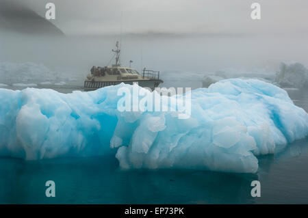 Die Blaue Eisberge Narsusuaq Fjord in Grönland Stockfoto