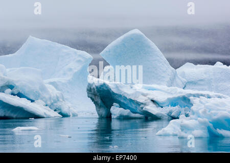 Die Blaue Eisberge Narsusuaq Fjord in Grönland Stockfoto