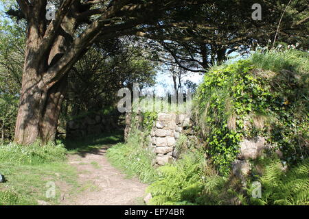 Madron-Kapelle in der Nähe von Wishing Well Madron in penwith West cornwall Stockfoto