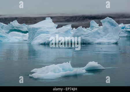 Die Blaue Eisberge Narsusuaq Fjord in Grönland Stockfoto