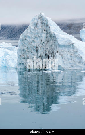 Die Blaue Eisberge Narsusuaq Fjord in Grönland Stockfoto