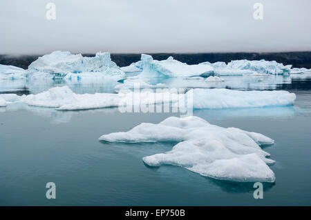 Die Blaue Eisberge Narsusuaq Fjord in Grönland Stockfoto