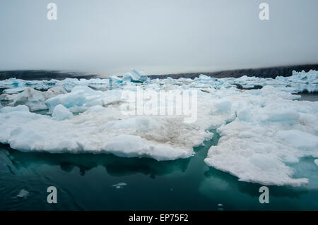 Die Blaue Eisberge Narsusuaq Fjord in Grönland Stockfoto