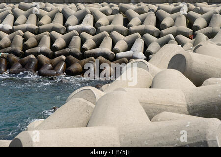 gestapelte Tetrapoden auf einem Wellenbrecher in Korea Stockfoto