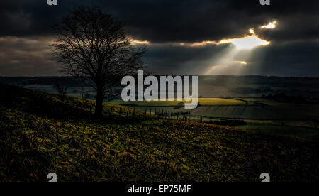 Eine Landschaftsansicht der Sonne durch die Wolken leuchten die grünen Felder stossen Stockfoto