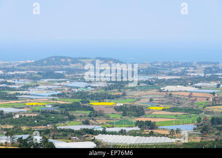 Aussicht von der Spitze des Jeoji Oreum in Insel Jeju, Korea-Landschaft. Stockfoto