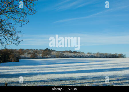 Frostigen Winter Morgen in der englischen Landschaft mit Bäumen werfen lange Schatten gegen blauen Himmel und wispy cloud Stockfoto