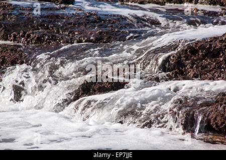 Wildwasser-streaming über Algen bedeckt Felsen Stockfoto