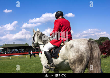 Ein Reiter auf Pferd im Wettbewerb im Pferdesport-Turnier Stockfoto