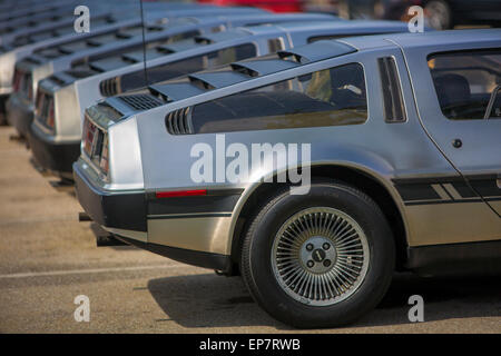 Reihe von Delorean Gebrauchtwagen in eine exotische Parkplatz in der Nähe von Naples, Florida, USA Stockfoto