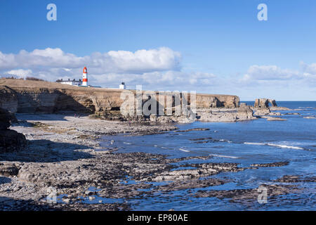 Lizard Point und Souter Lighthouse, Marsden, South Tyneside, England Stockfoto