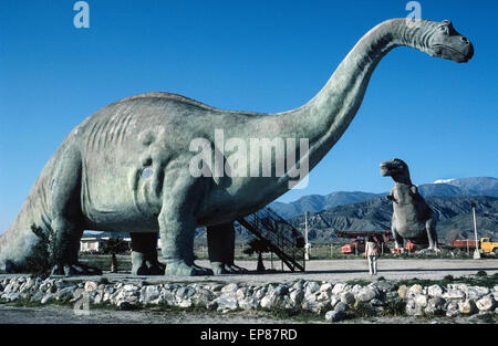 Reisende entlang der Autobahn Interstate 10 östlich von Los Angeles sind überrascht zu sehen, zwei riesige Dinosaurier in San Gorgonio Pass in Cabazon, Kalifornien, USA. Die am Straßenrand Attraktion verfügt über ein größer-als-Leben-sortierte Apatosaurus und ein Tyrannosaurus Rex. Bildhauer Claude Bell dauerte 11 Jahre, die größere Kreatur zu erstellen, die 150 Fuß lang und 45 Fuß hoch ist. Das Monster im Jahr 1975 für die Öffentlichkeit geöffnet, und seinem prähistorischen Kumpel wurde im Jahr 1981 hinzugefügt. Beide bestehen aus Beton über Metallgitter, die die Form ihres Körpers und unterstützt durch Stahlträger versprüht. Neuer Eigentümer der Website in den 1990er Jahren herausgeputzt. Stockfoto