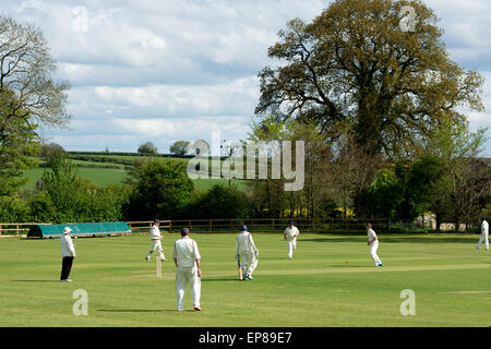 Dorf-Cricket in Horley, Oxfordshire, England, UK Stockfoto