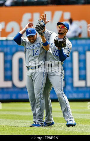 Arlington, TX, USA. 14. Mai 2015. Kansas City Royals zweiter Basisspieler Omar Infante (14) fängt einen Fly Ball mit Kansas City Royals Recht Fielder Paulo Orlando (16) versuchen, das Spiel als auch in der Major League Baseball Spiel zwischen den Kansas City Royals und die Texas Rangers im Globe Life Park in Arlington, TX. Tim Warner/CSM/Alamy Live-Nachrichten Stockfoto
